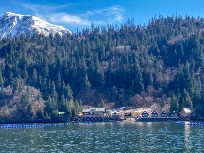 Cove Peaks Lodge – Remote Alaska Lodge for Sale in Halibut Cove - image 1