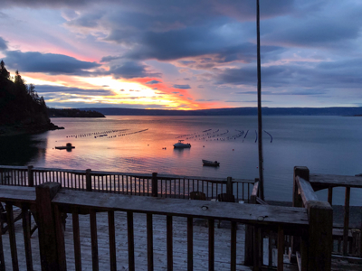 Cove Peaks Lodge – Remote Alaska Lodge for Sale in Halibut Cove - image 30