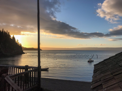 Cove Peaks Lodge – Remote Alaska Lodge for Sale in Halibut Cove - image 29