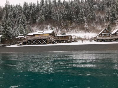 Cove Peaks Lodge – Remote Alaska Lodge for Sale in Halibut Cove - image 20