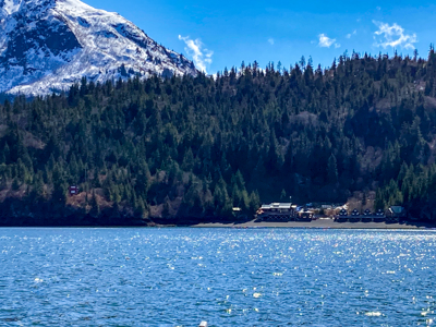 Cove Peaks Lodge – Remote Alaska Lodge for Sale in Halibut Cove - image 23