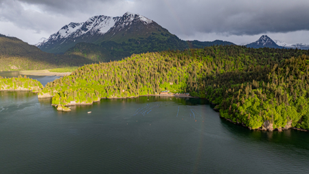 Cove Peaks Lodge – Remote Alaska Lodge for Sale in Halibut Cove - image 47