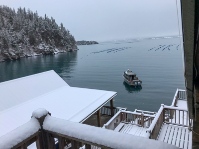 Cove Peaks Lodge – Remote Alaska Lodge for Sale in Halibut Cove - image 18