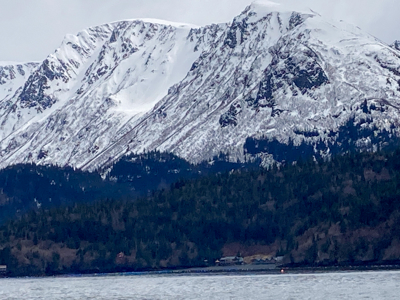 Cove Peaks Lodge – Remote Alaska Lodge for Sale in Halibut Cove - image 13