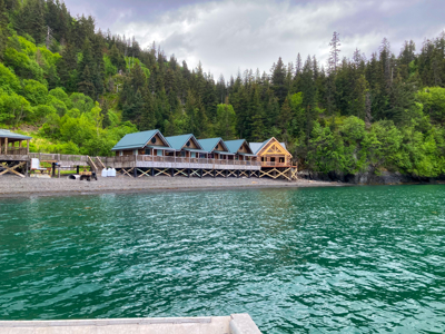 Cove Peaks Lodge – Remote Alaska Lodge for Sale in Halibut Cove - image 3