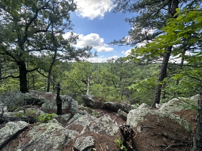 175 Acre Scenic Property For Sale Latimer County - image 30