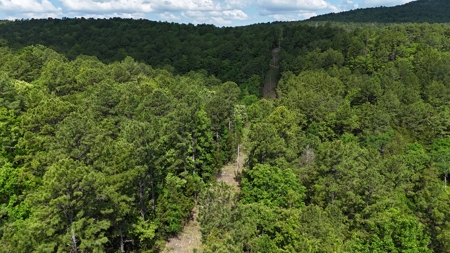 175 Acre Scenic Property For Sale Latimer County - image 7