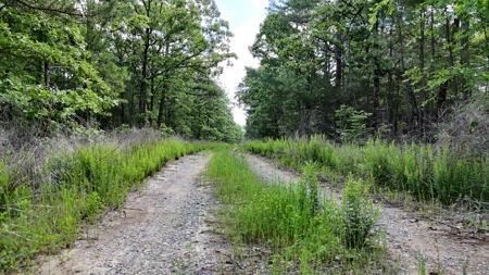 175 Acre Scenic Property For Sale Latimer County - image 22