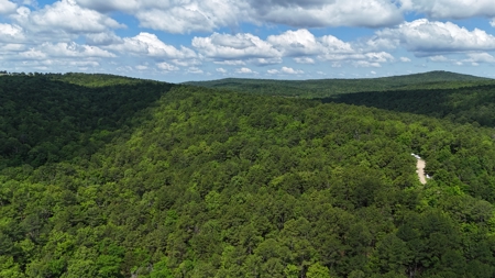 175 Acre Scenic Property For Sale Latimer County - image 10