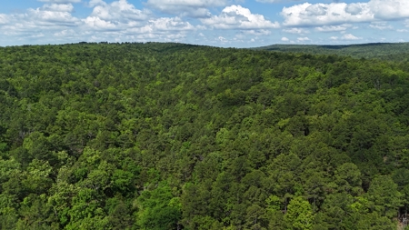 175 Acre Scenic Property For Sale Latimer County - image 4