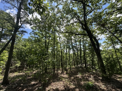 175 Acre Scenic Property For Sale Latimer County - image 38