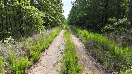 175 Acre Scenic Property For Sale Latimer County - image 18