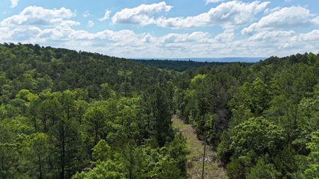 175 Acre Scenic Property For Sale Latimer County - image 9