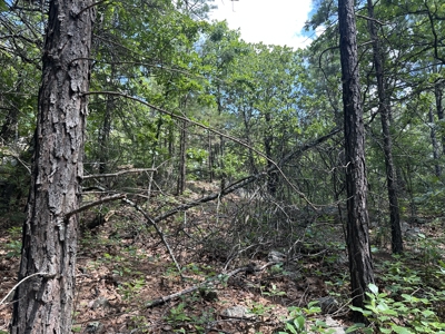 175 Acre Scenic Property For Sale Latimer County - image 44