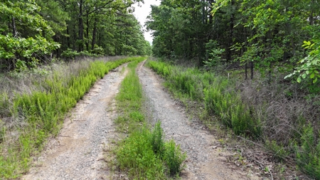 175 Acre Scenic Property For Sale Latimer County - image 15