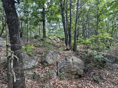 175 Acre Scenic Property For Sale Latimer County - image 46
