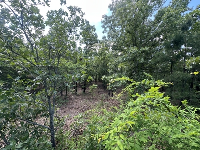 175 Acre Scenic Property For Sale Latimer County - image 26