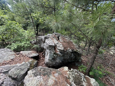 175 Acre Scenic Property For Sale Latimer County - image 24