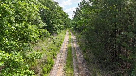 175 Acre Scenic Property For Sale Latimer County - image 19