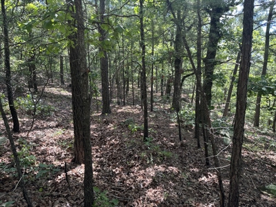 175 Acre Scenic Property For Sale Latimer County - image 43