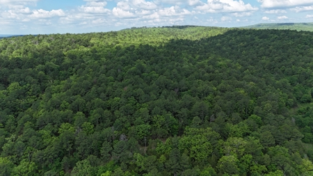 175 Acre Scenic Property For Sale Latimer County - image 5