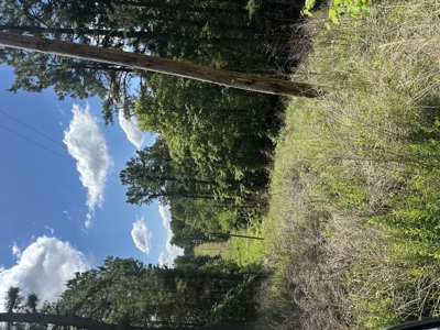 175 Acre Scenic Property For Sale Latimer County - image 49