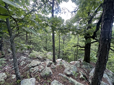 175 Acre Scenic Property For Sale Latimer County - image 31