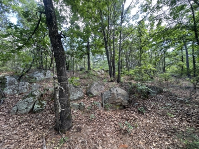 175 Acre Scenic Property For Sale Latimer County - image 47