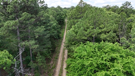 175 Acre Scenic Property For Sale Latimer County - image 14