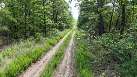175 Acre Scenic Property For Sale Latimer County - image 16