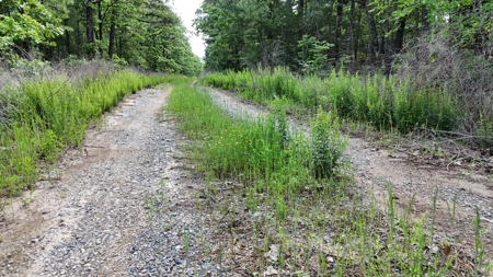 175 Acre Scenic Property For Sale Latimer County - image 21