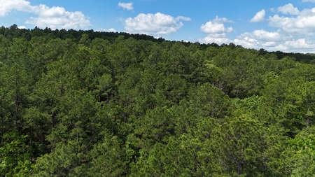 175 Acre Scenic Property For Sale Latimer County - image 8