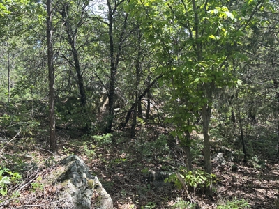 175 Acre Scenic Property For Sale Latimer County - image 36