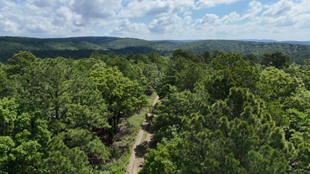 175 Acre Scenic Property For Sale Latimer County - image 3