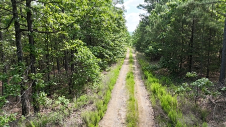 175 Acre Scenic Property For Sale Latimer County - image 17
