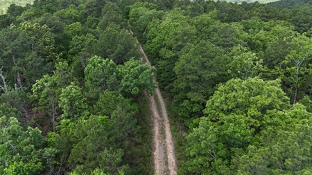 175 Acre Scenic Property For Sale Latimer County - image 12