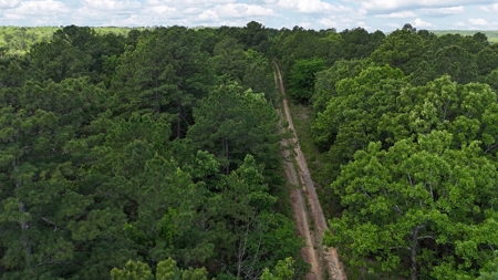 175 Acre Scenic Property For Sale Latimer County - image 13