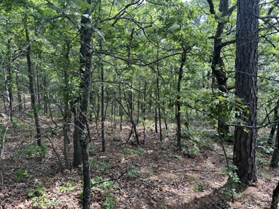 175 Acre Scenic Property For Sale Latimer County - image 34