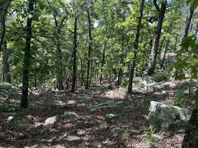 175 Acre Scenic Property For Sale Latimer County - image 41