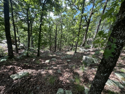 175 Acre Scenic Property For Sale Latimer County - image 40
