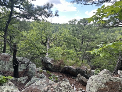 175 Acre Scenic Property For Sale Latimer County - image 29