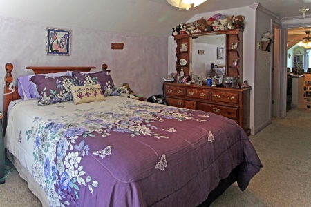 Historic Downtown Dolores Home For Sale - image 19