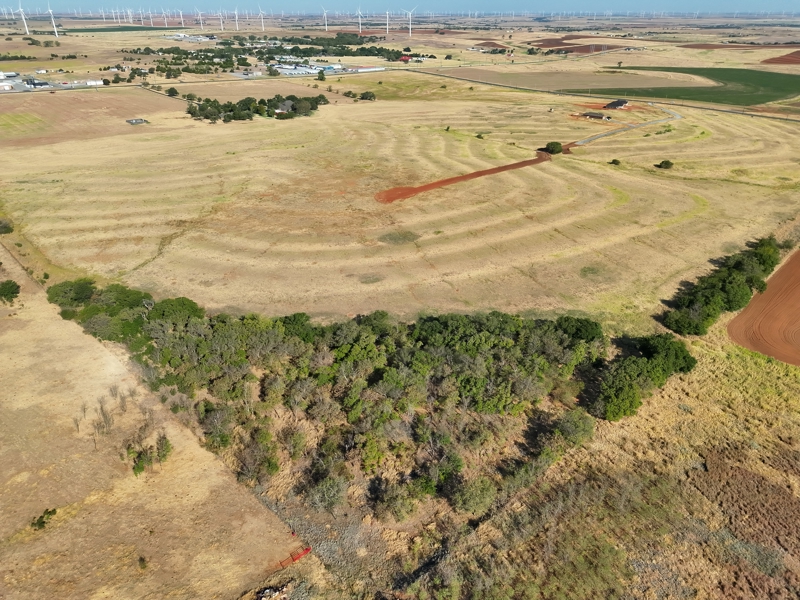 No Caption