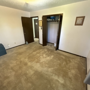 Charming 3-Bedroom Raised Ranch on a Corner Lot in Shenandoah! - image 18