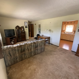Charming 3-Bedroom Raised Ranch on a Corner Lot in Shenandoah! - image 25