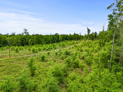 10 Acres With Well & Septic, Homestead Potential--O'Brien, Fl - image 22