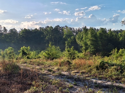 10 Acres With Well & Septic, Homestead Potential--O'Brien, Fl - image 3