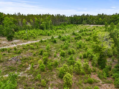 10 Acres With Well & Septic, Homestead Potential--O'Brien, Fl - image 16