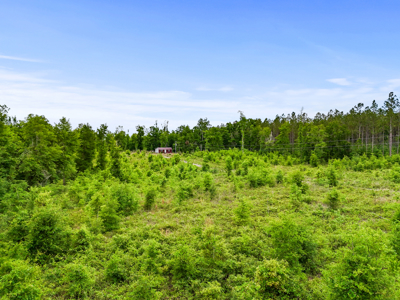 10 Acres With Well & Septic, Homestead Potential--O'Brien, Fl - image 20