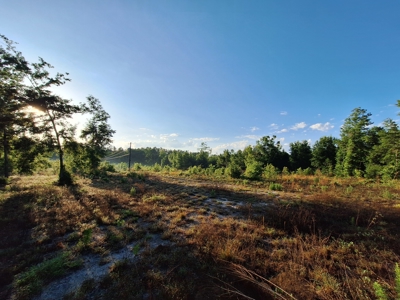 10 Acres With Well & Septic, Homestead Potential--O'Brien, Fl - image 4